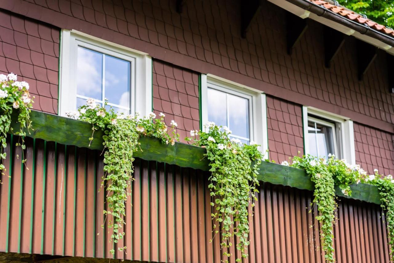 Ferienwohnung Haus Bergsonne Braunlage Exterior foto